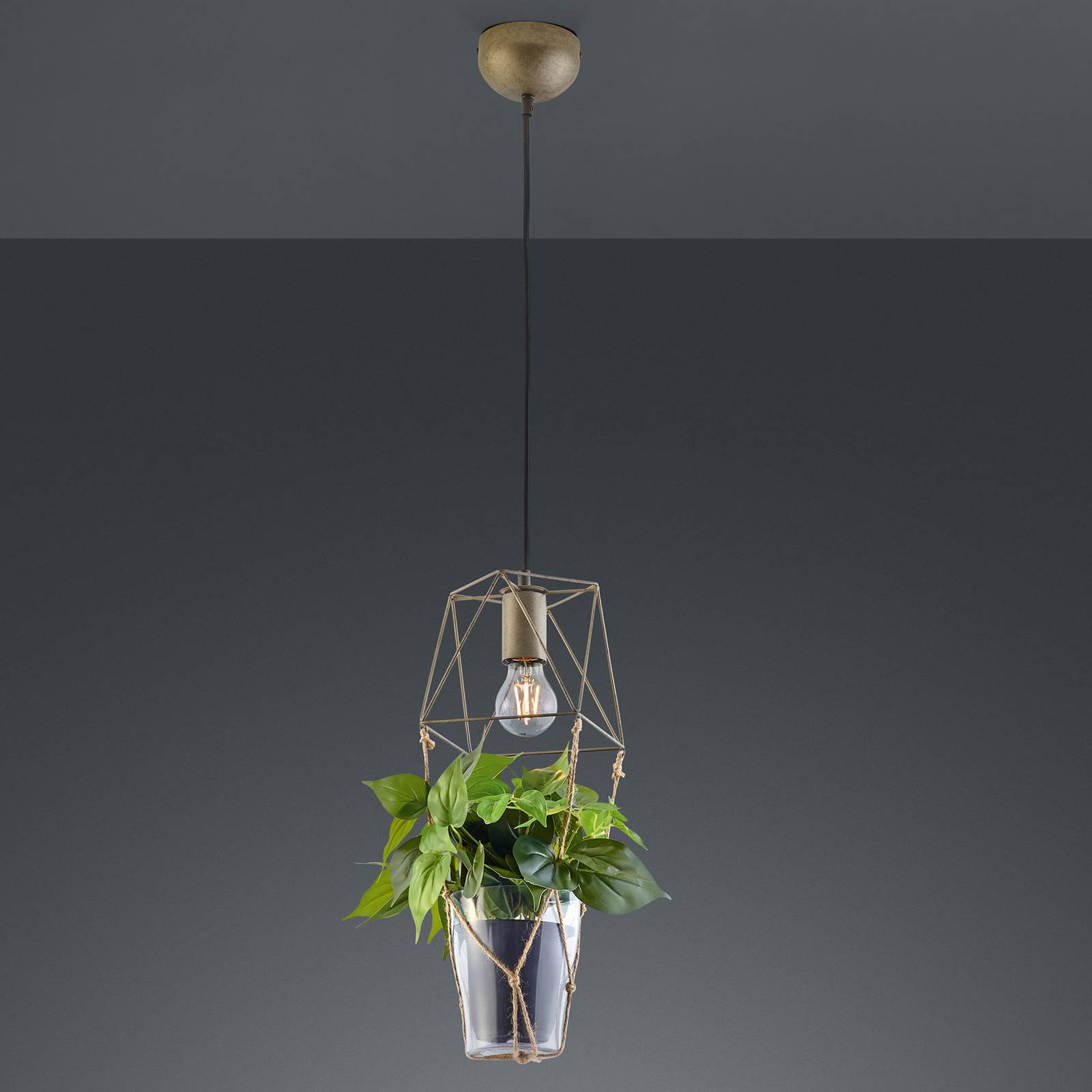 Lampa wisząca Plant 1-pkt. szklana wkładka ozdobna