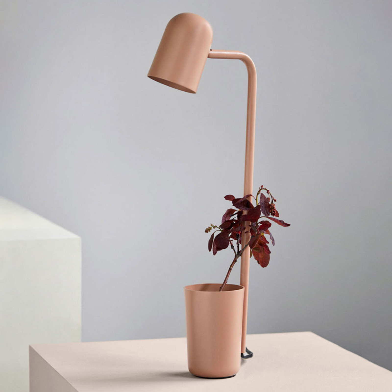 Northern lampă de masă Buddy table bej - Camera de zi / sufragerie - Scandinavă - Metal