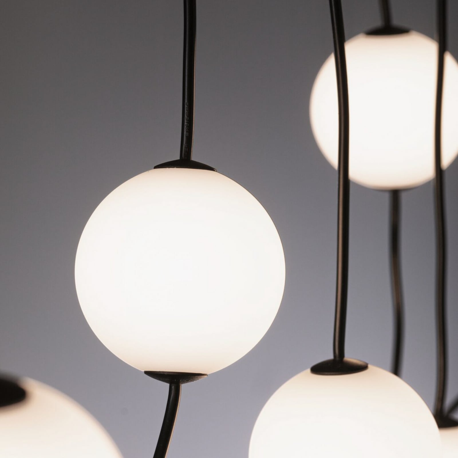 Guirlande lumineuse LED Paulmann Taina, rallonge de 2 m, IP67