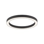 Plafonnier LED Lines Round, graphite, Ø 50 cm, CCT - PURE