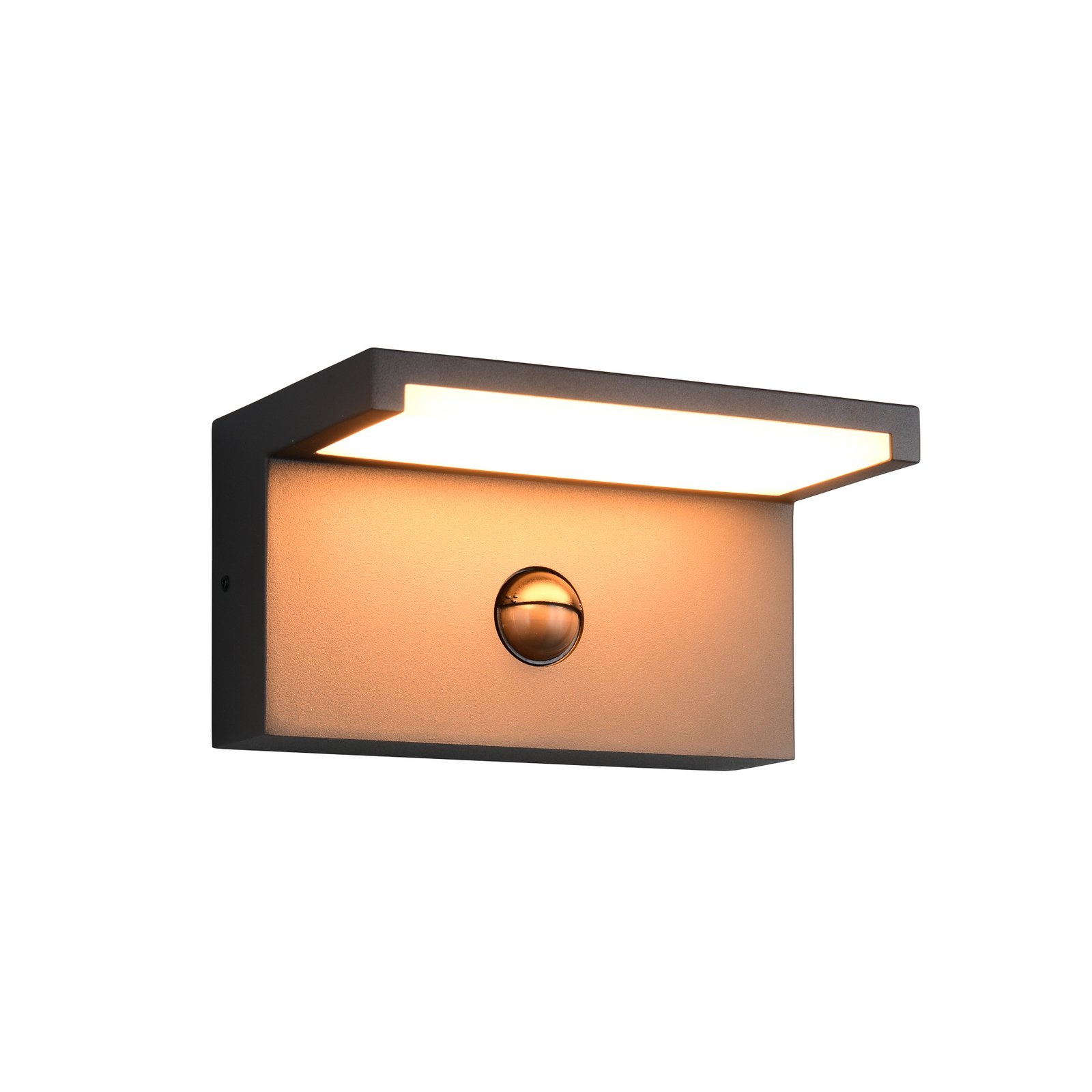 LED āra sienas lampa Ravi, antracīta krāsa, platums 18 cm, sensors, IP54