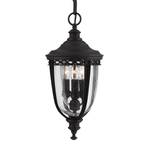 English Bridle hanging light for outdoors, black