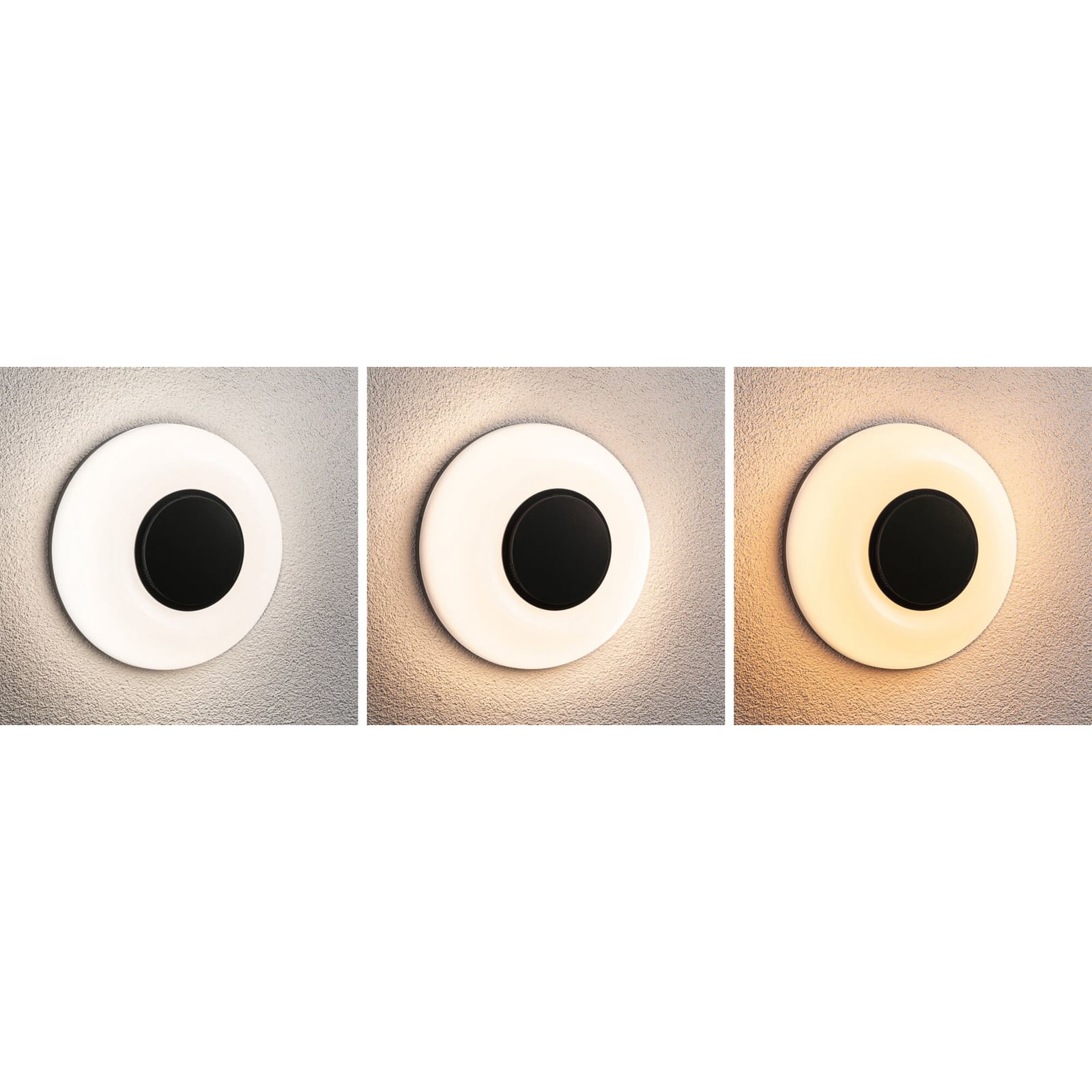 „Paulmann“ LED sieninis šviestuvas „Aureva“, antracito spalvos, Ø 22 cm CCT „Paulmann“ LED sieninis šviestuvas „Aureva“, antracito spalvos, Ø 22 cm CCT