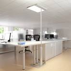 Elegante kantoor-vloerlamp Linea-F sensor - grijs