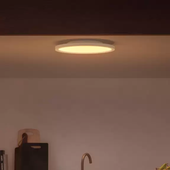 Lampenwelt Philips Hue White&Color Surimu Panel weiß Ø 39,5cm