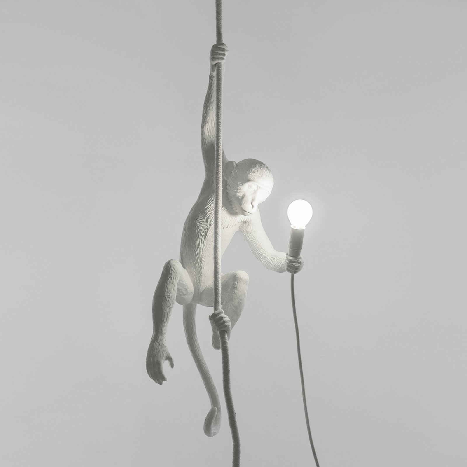 LED decoratie-hanglamp Monkey Lamp, wit, hangend