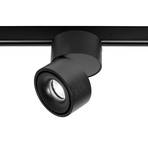 Egger Clippo spot LED sur rail, dim-to-warm noir