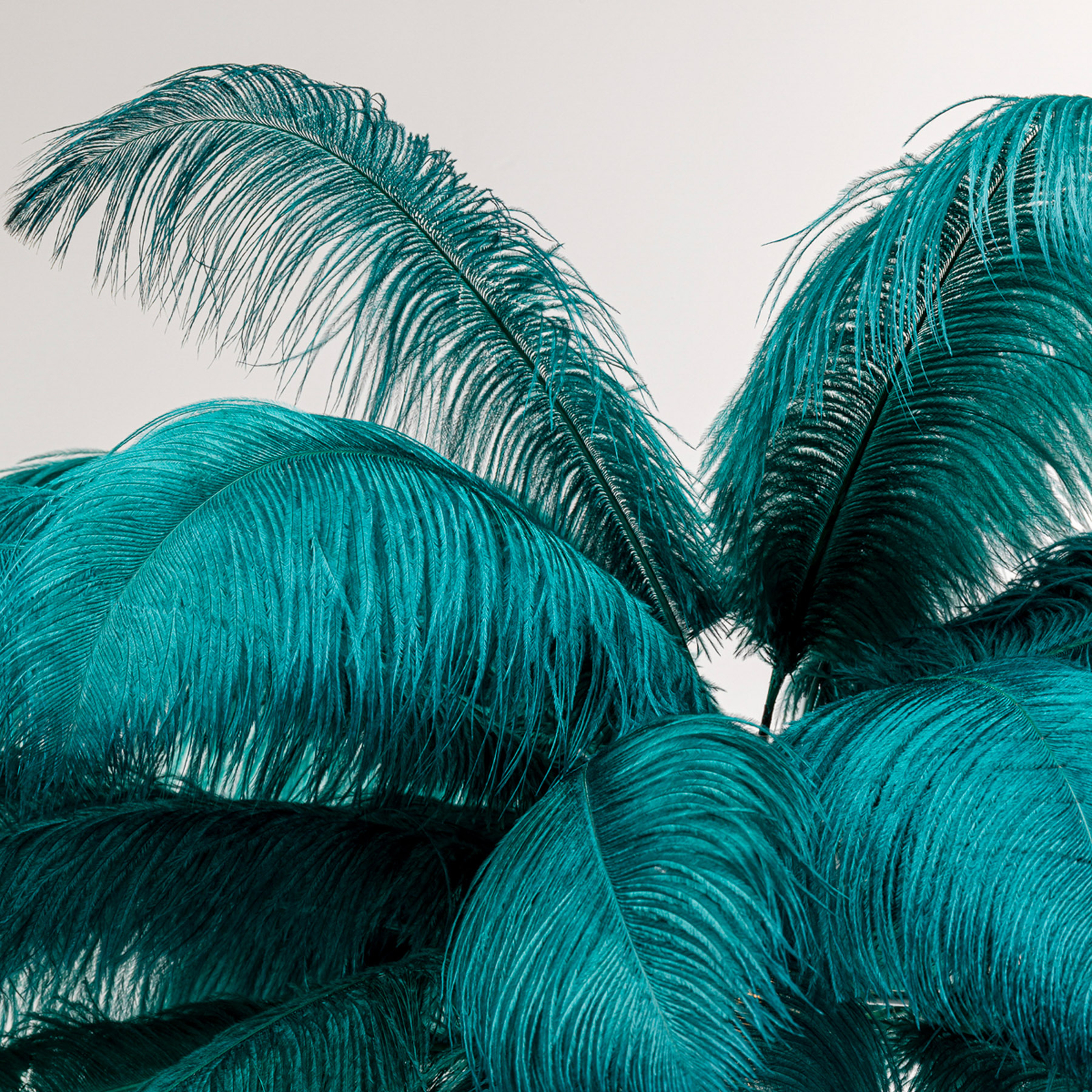 Kare Candeeiro de pé Feather Palm com penas, verde