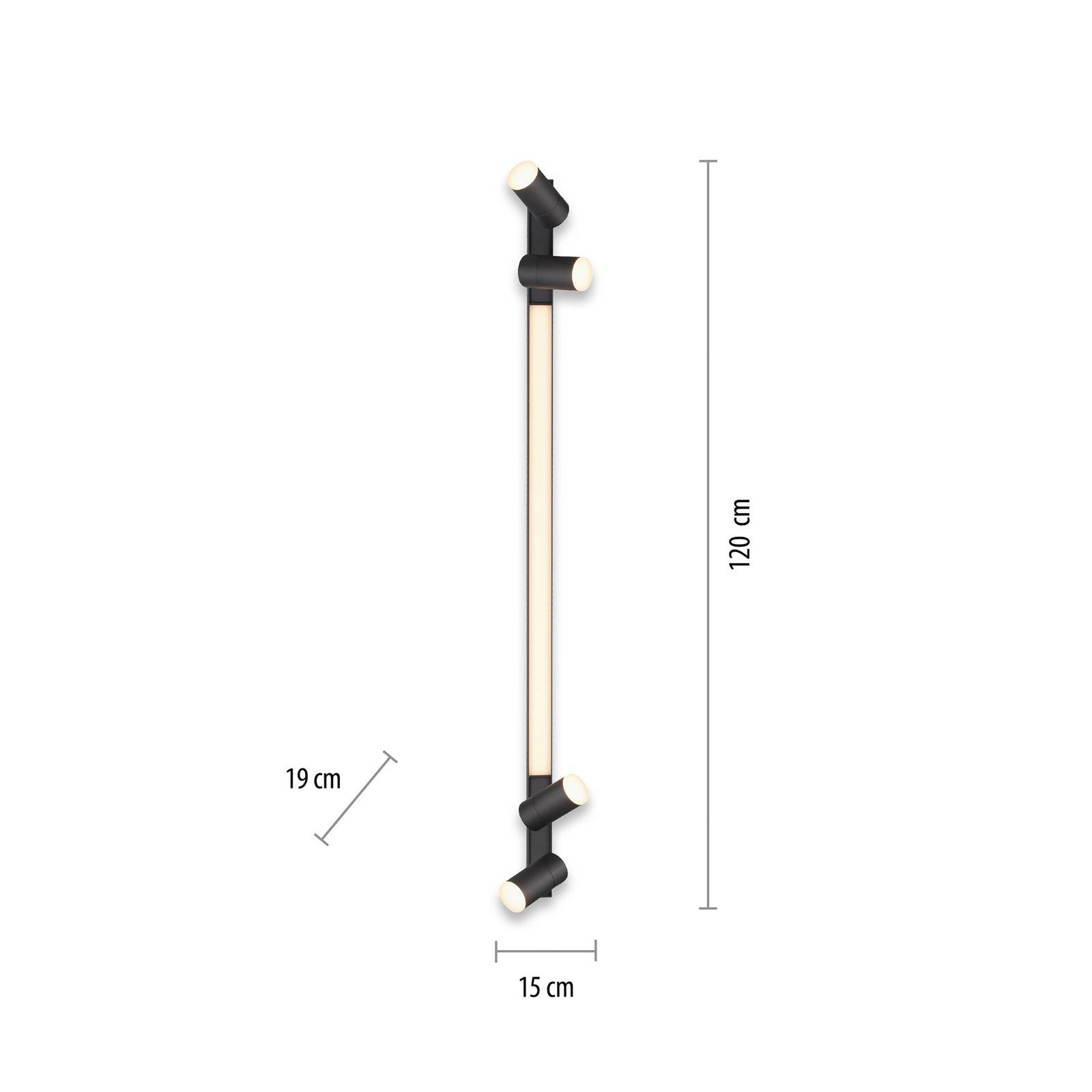 PURE Lines LED-Deckenleuchte, 4-flammig, anthrazit