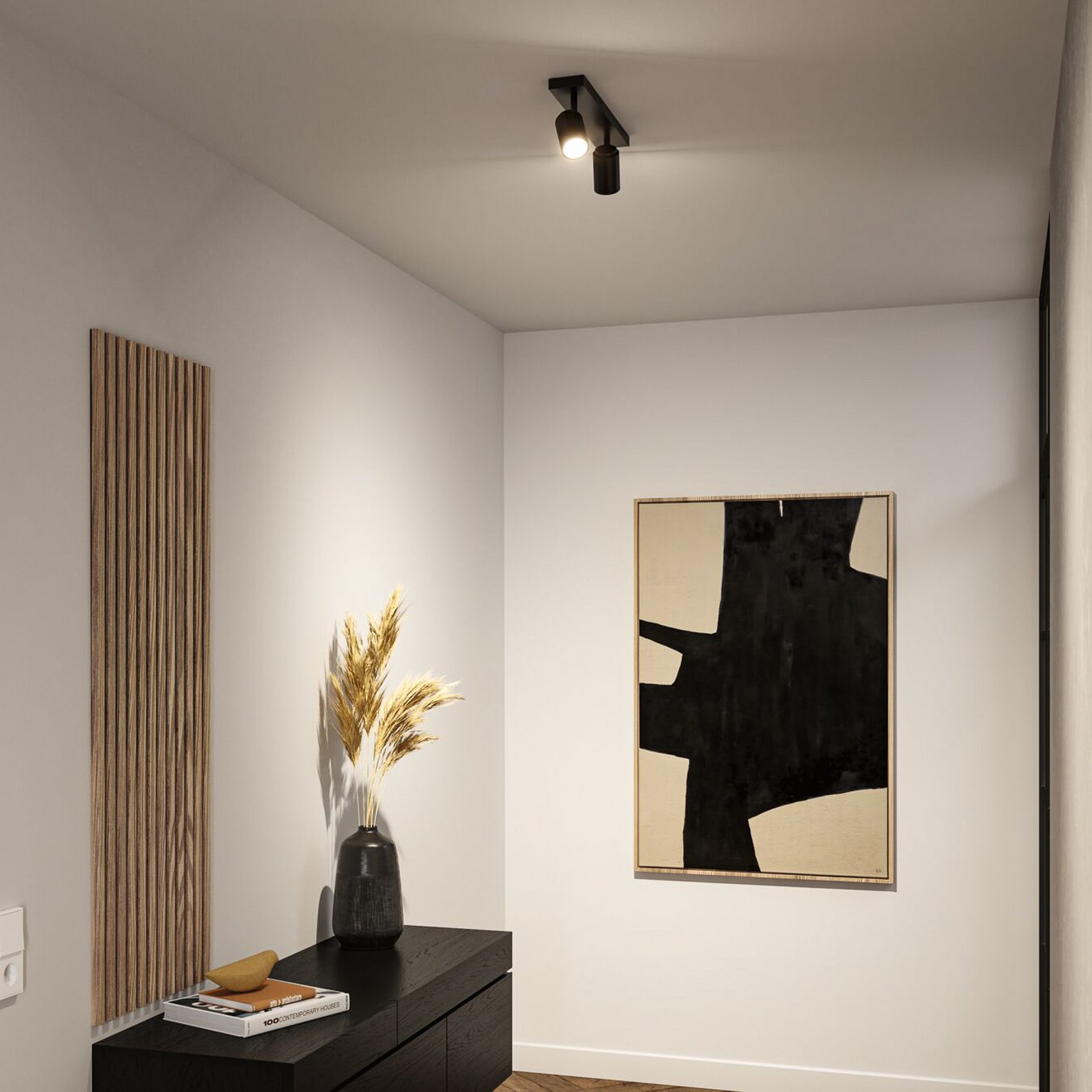 Zyli 2 Ceiling Light IP44 dimmable Matt Black - Paulmann