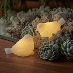 Oświetlenie dekoracyjne LED Sparrow Set of 2