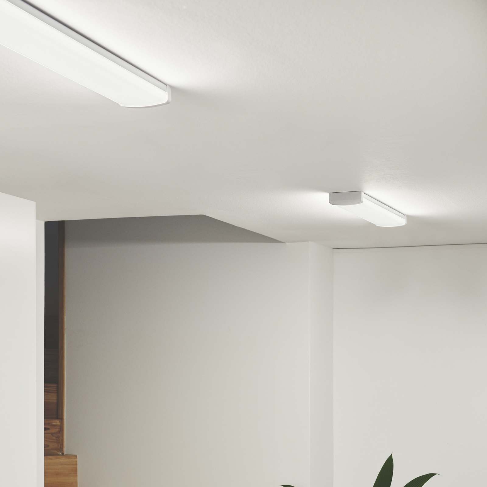 Wilmington LED-valonauhat, pituus 60,5 cm, valkoinen, muovia