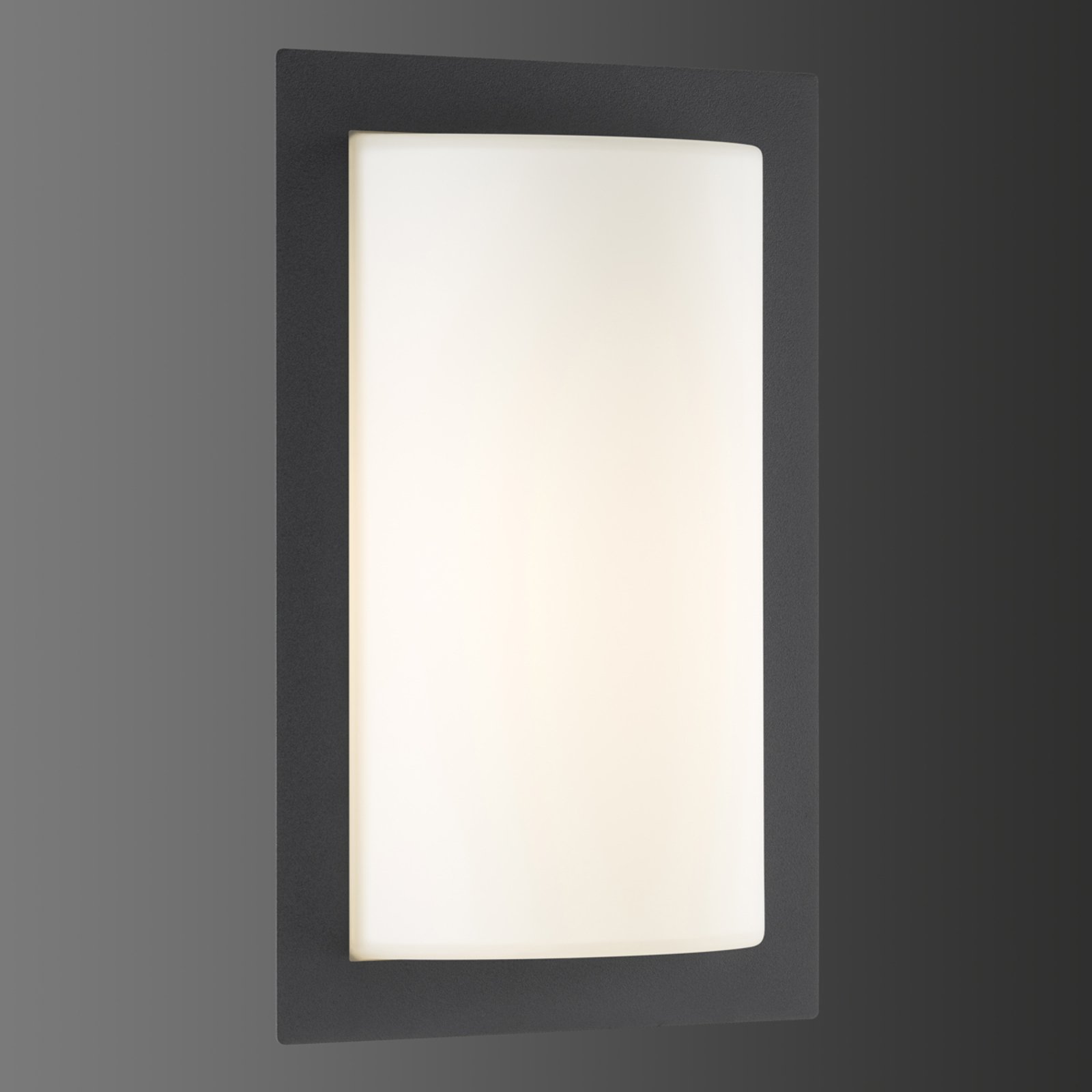 Graphite-coloured outdoor wall lamp Luis with LED light