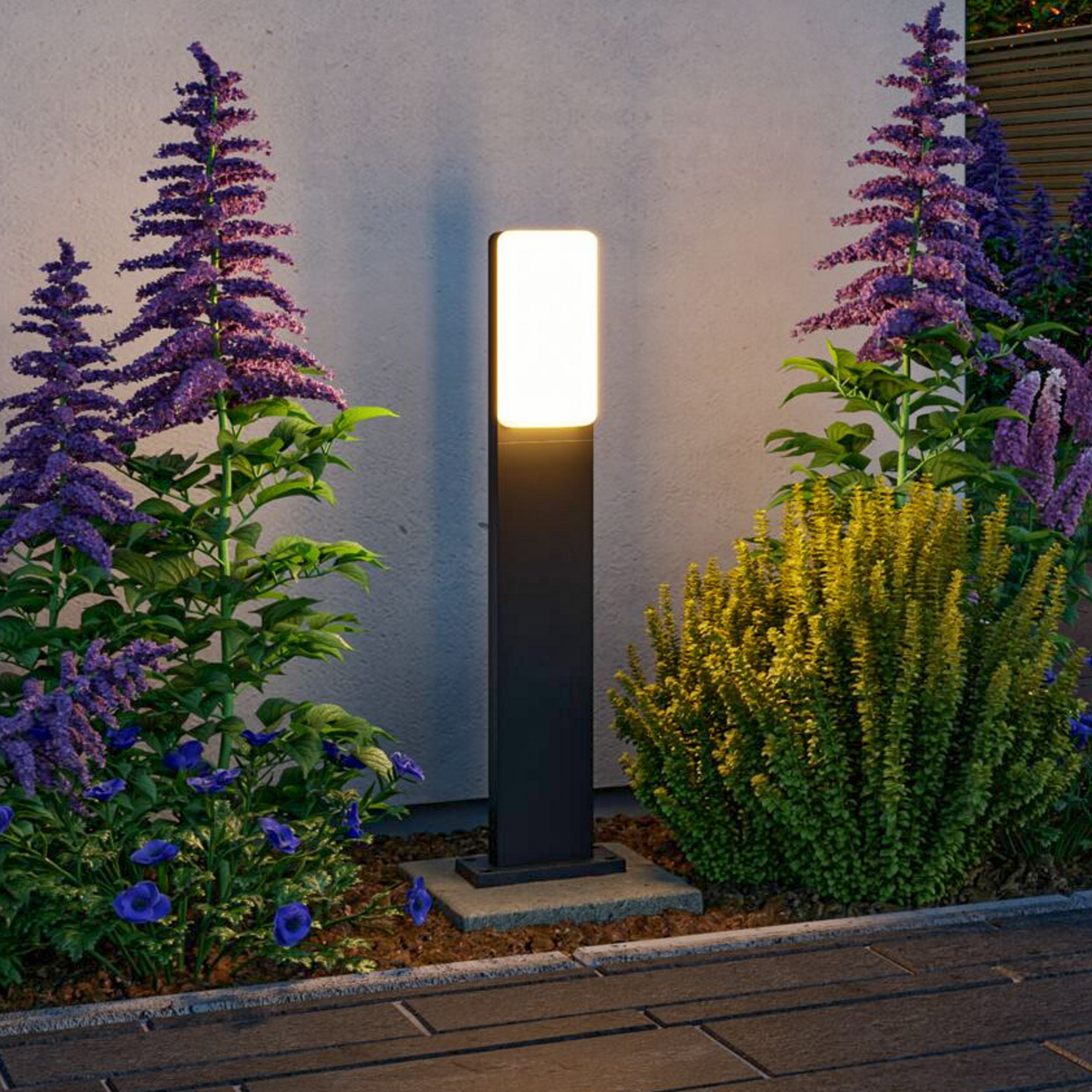 Borne lumineuse LED Bonnie de Paulmann, aluminium, anthracite