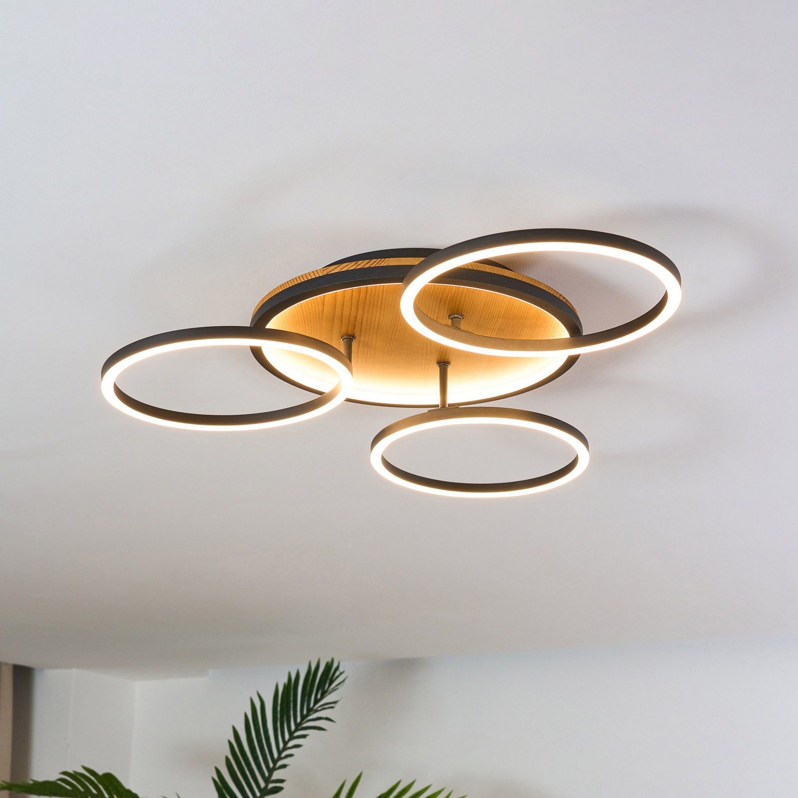Eco-Light Plafonieră cu LED Kiru pin lungime 608 cm 3 lumini lemn - Camera de zi / sufragerie - modern - pin negru
