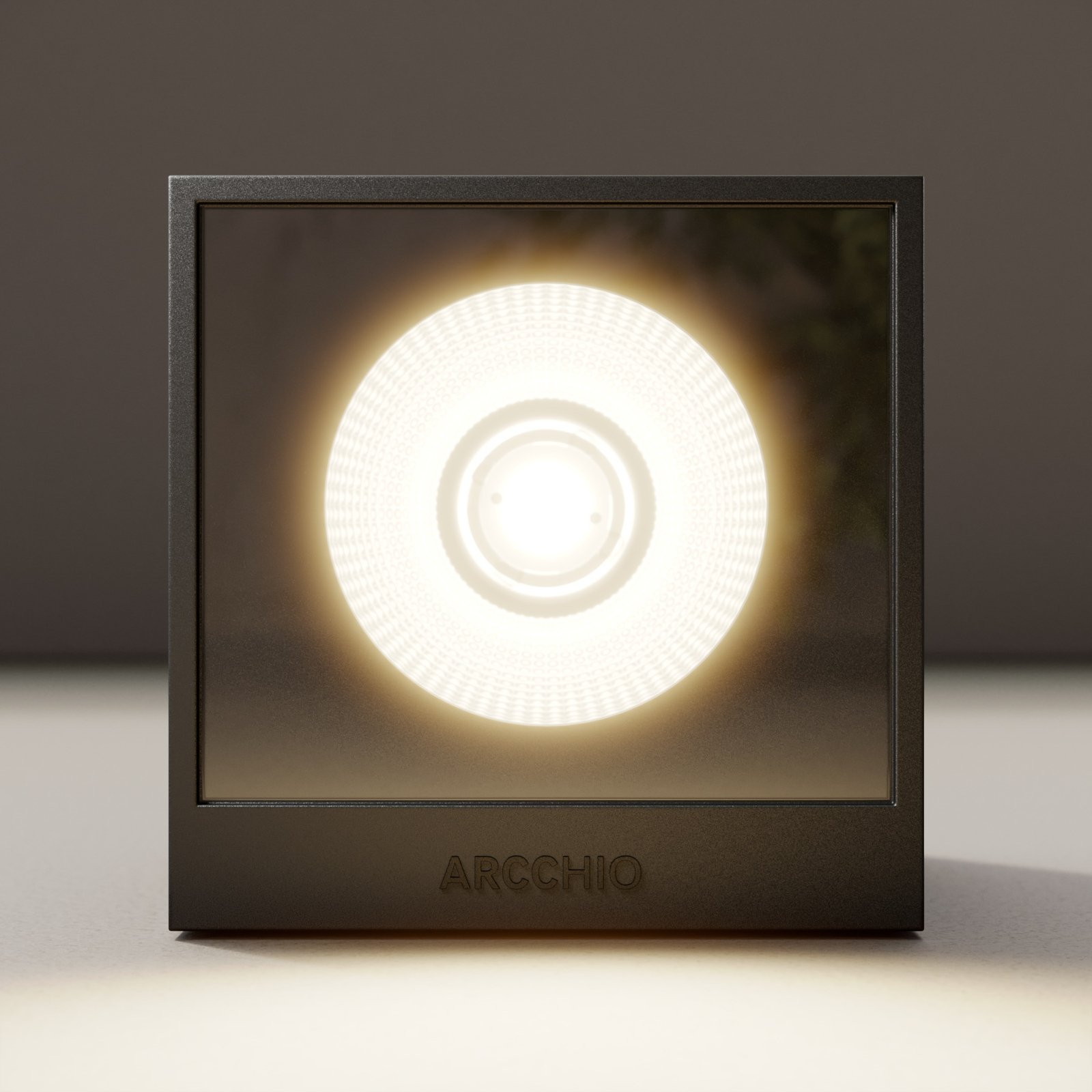 Tassnim Down Outdoor Wall Lamp Graphite - Arcchio
