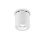 Helestra Lot outdoor ceiling light, IP65, white