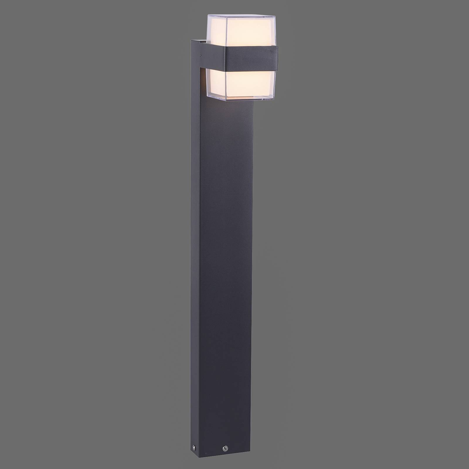 E-shop Paul Neuhaus Cara chodníkové LED svietidlo up/down