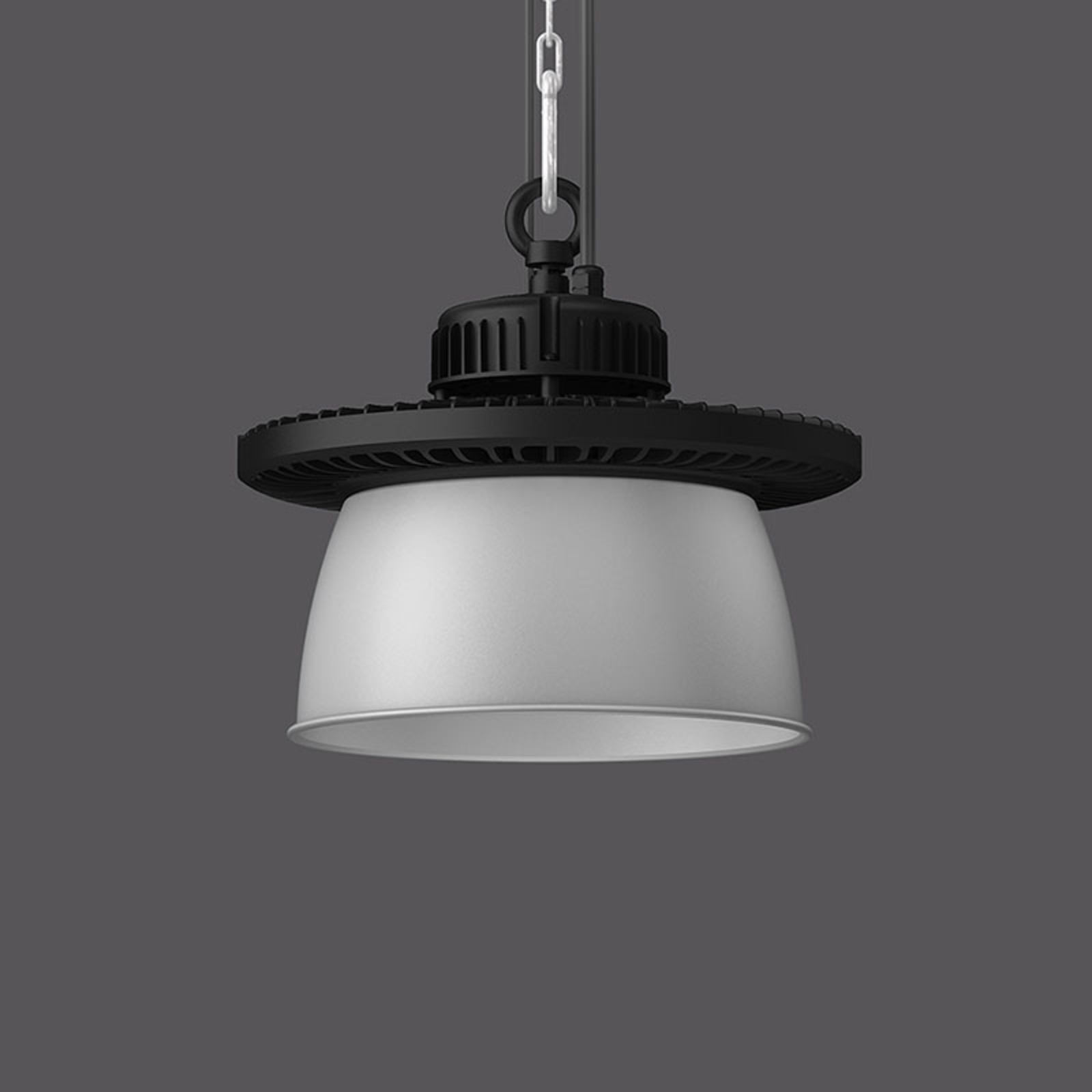 RZB Industrial Hall Midi DALI 202 W reflektor alu