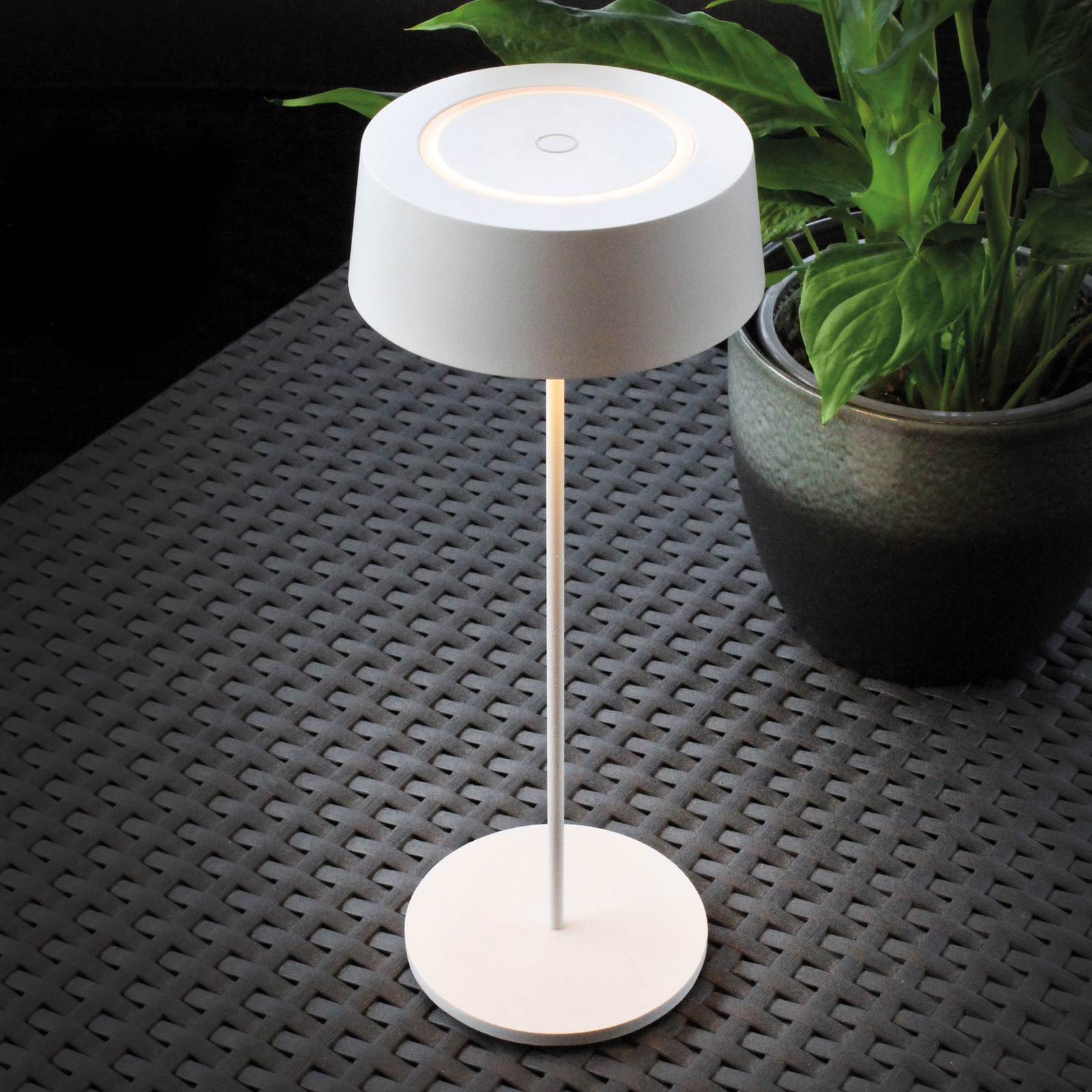 Lampada LED tavolo accu Cocktail, dimming, bianco