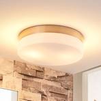 Kupaonska stropna svjetiljka Amilia sa staklenim sjenilom, Ø 23,5 cm