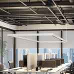 LED-riippvalgusti PERFORA PROLINE M, valge, 106 cm, DALI üles/alla
