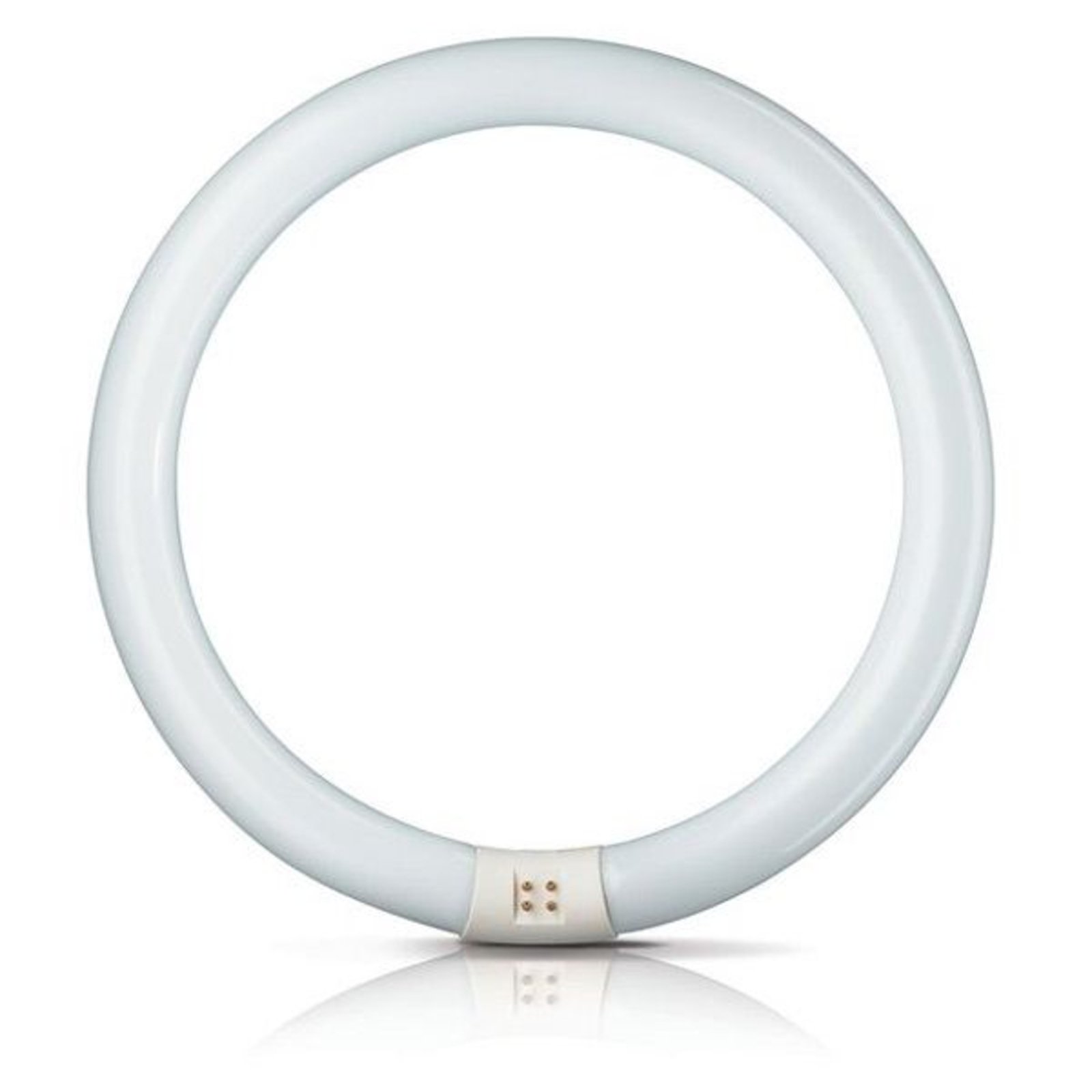 G10q 22W 865 Флуоресцентен пръстен Master Circular TL-E