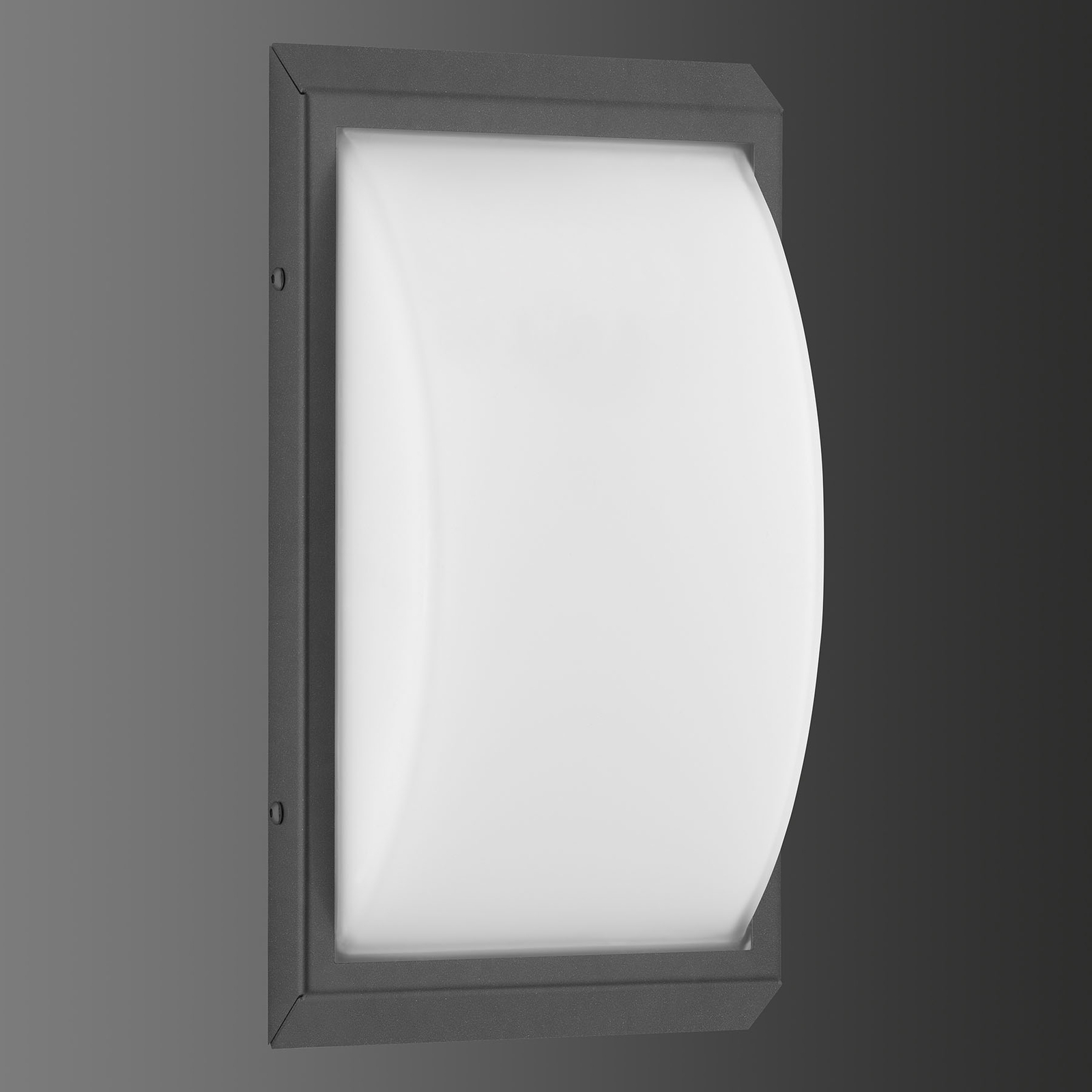 053 LED outdoor wall lamp stainless steel graphite