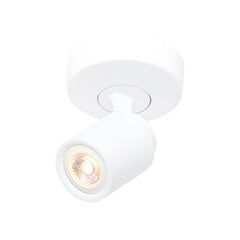 Razza laevalgusti, valge, Ø 13 cm, metall