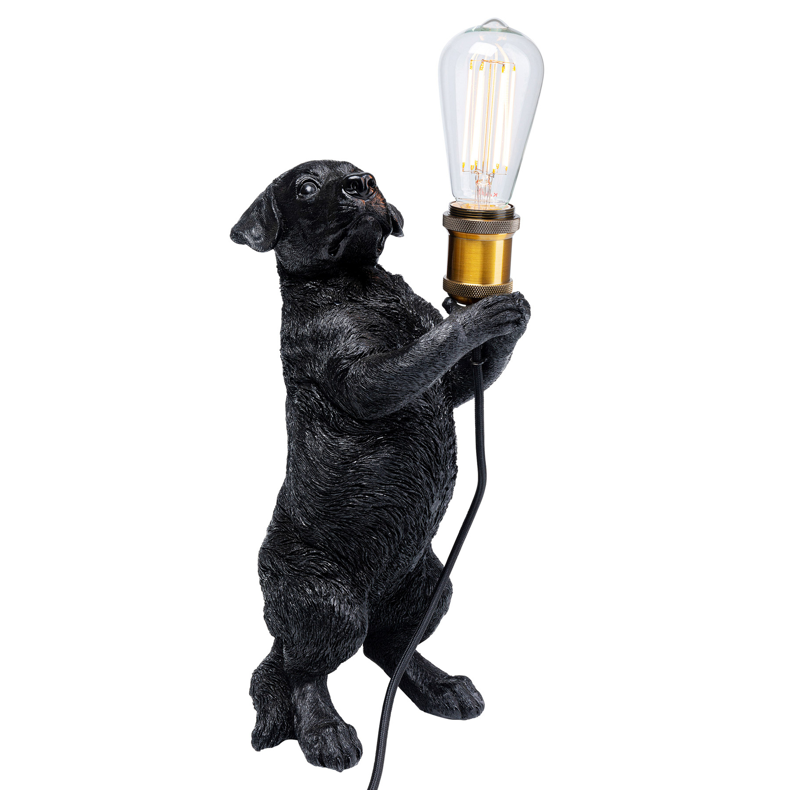 KARE Animal Perro stolná lampa s jazvečíkom