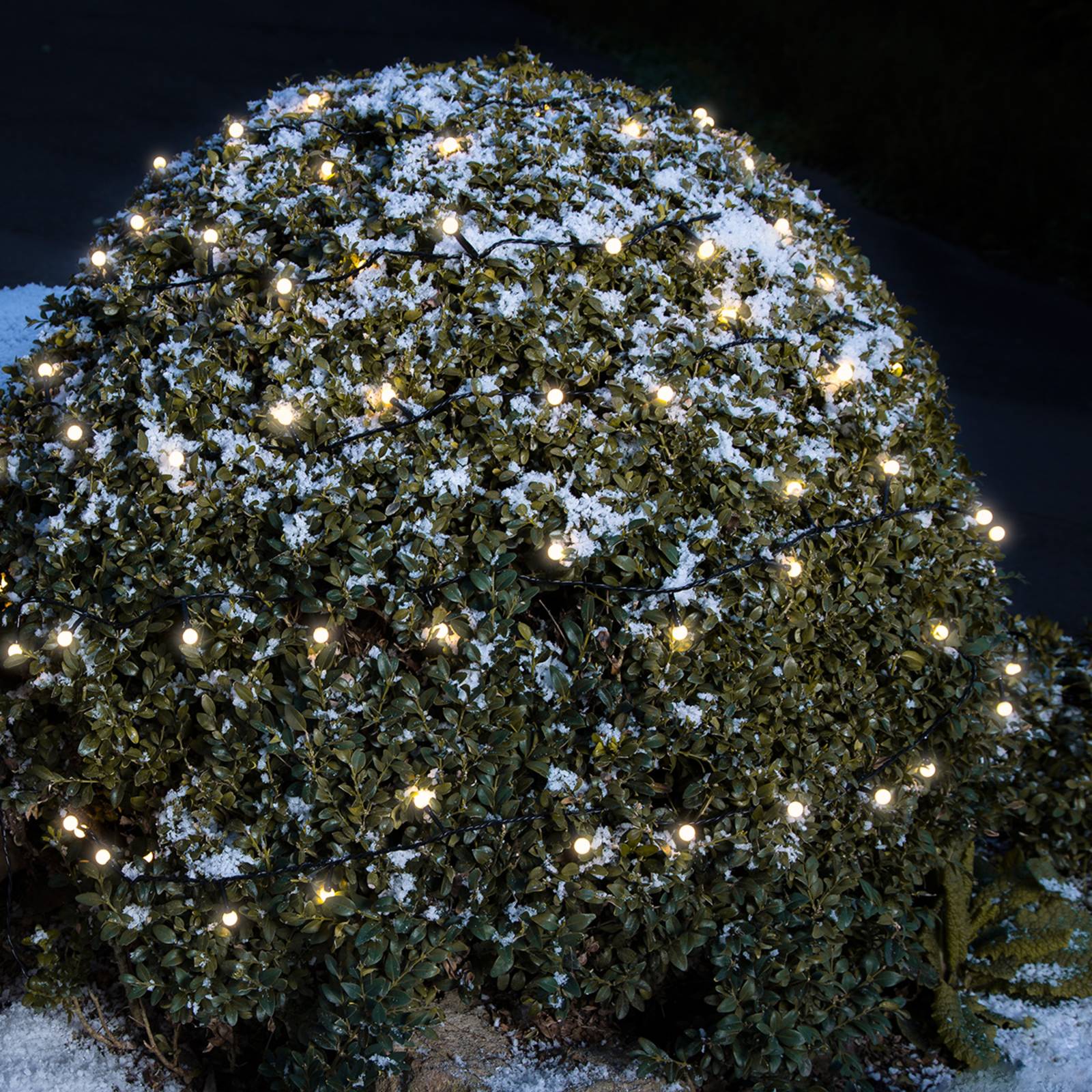 Image of Konstsmide Christmas Mini-guirlande LED extérieur 80 lampes blanc chaud 7318306911078