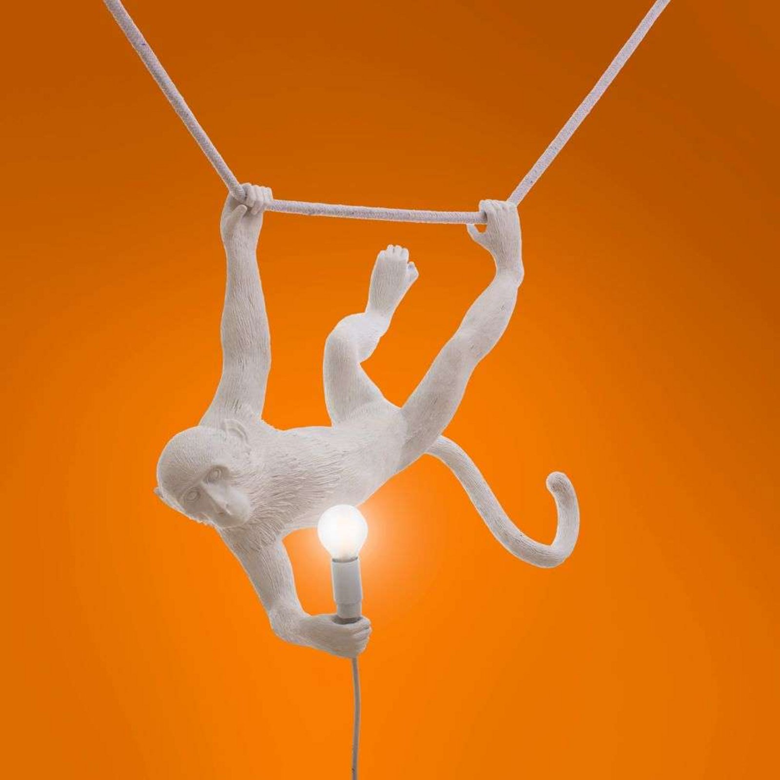 Monkey Swing Utomhus Taklampa Svart - Seletti