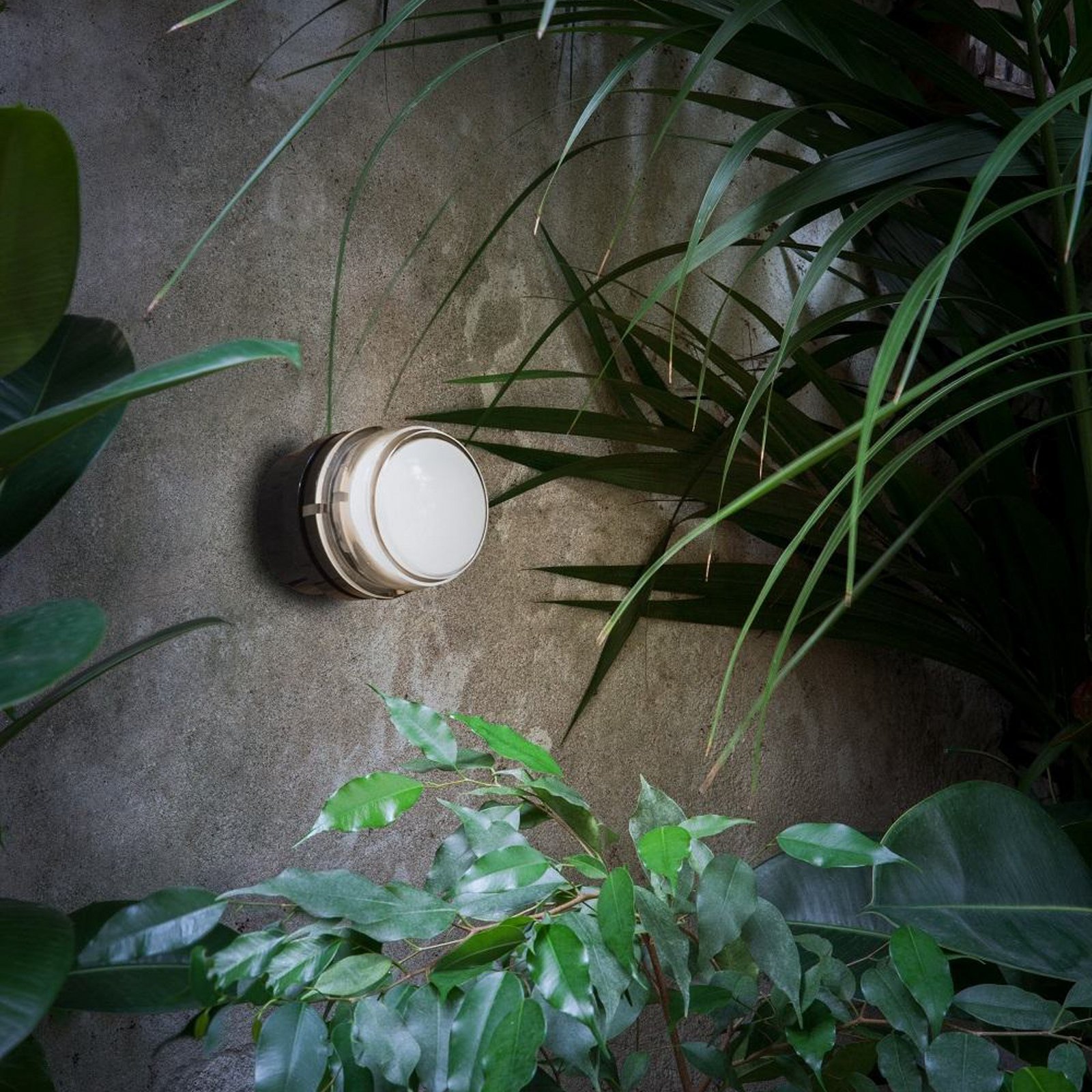 Oluce LED-væglampe Fresnel, sort, aluminium, glas, 2.700 K