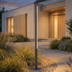 Lucande LED-Außenleuchte Lynel, anthrazit, Höhe 200 cm, IP54