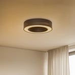 BRUMBERG Biro Circle LED-Deckenlampe, DALI schwarz
