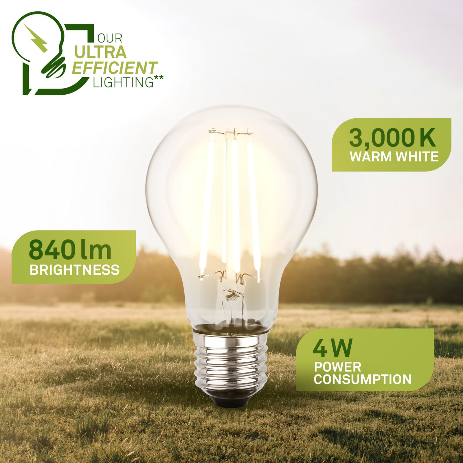 LED žarnica E27 4W prozorna 3000K 840 lm EEK A 2er