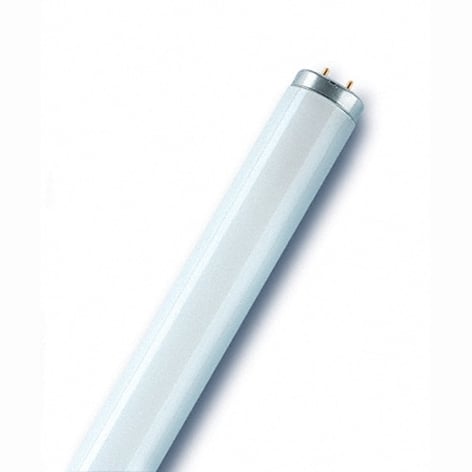 G13 T12 SA-Type Lysstoffpære