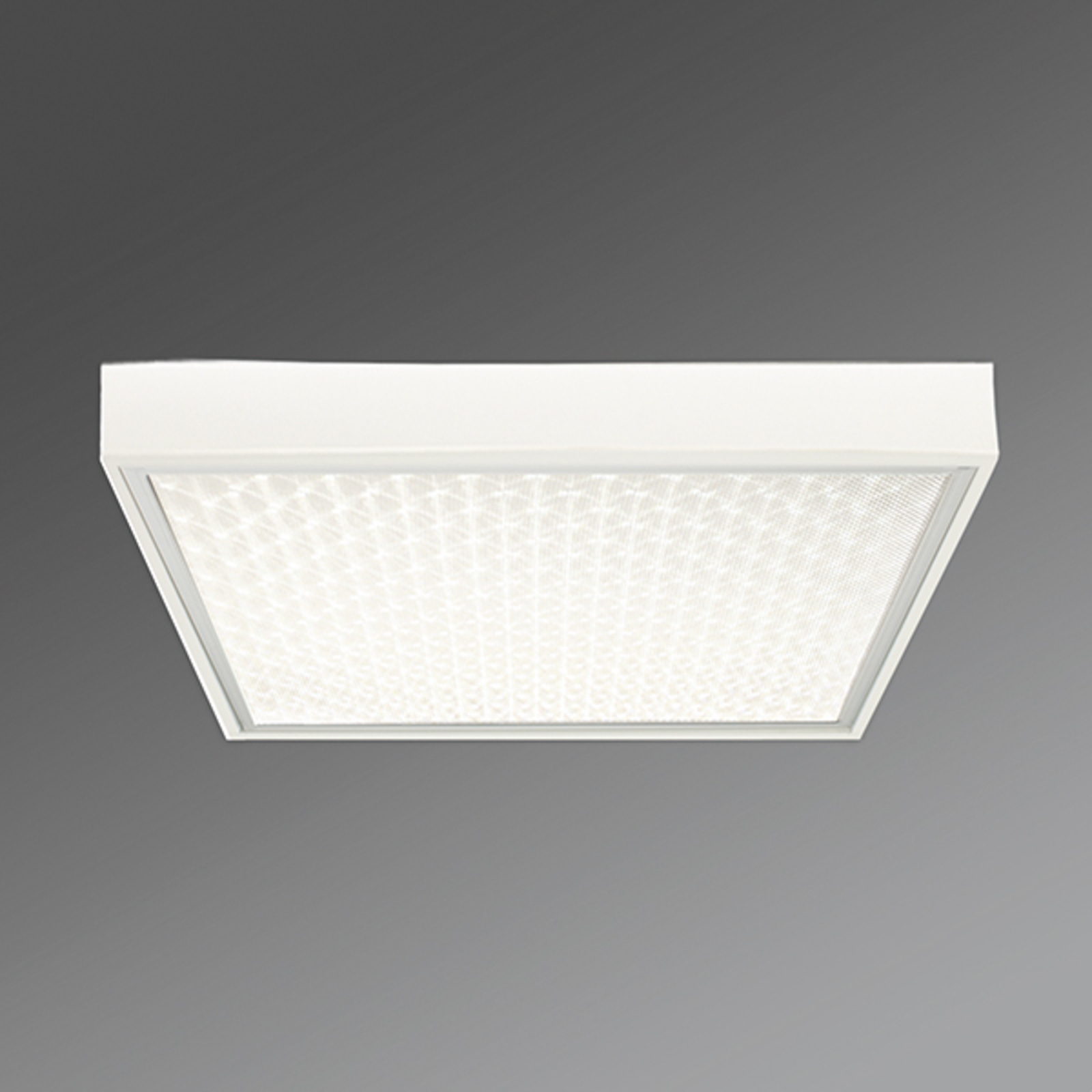 Biurowa lampa sufitowa Protection-PRAMP 660 BAP