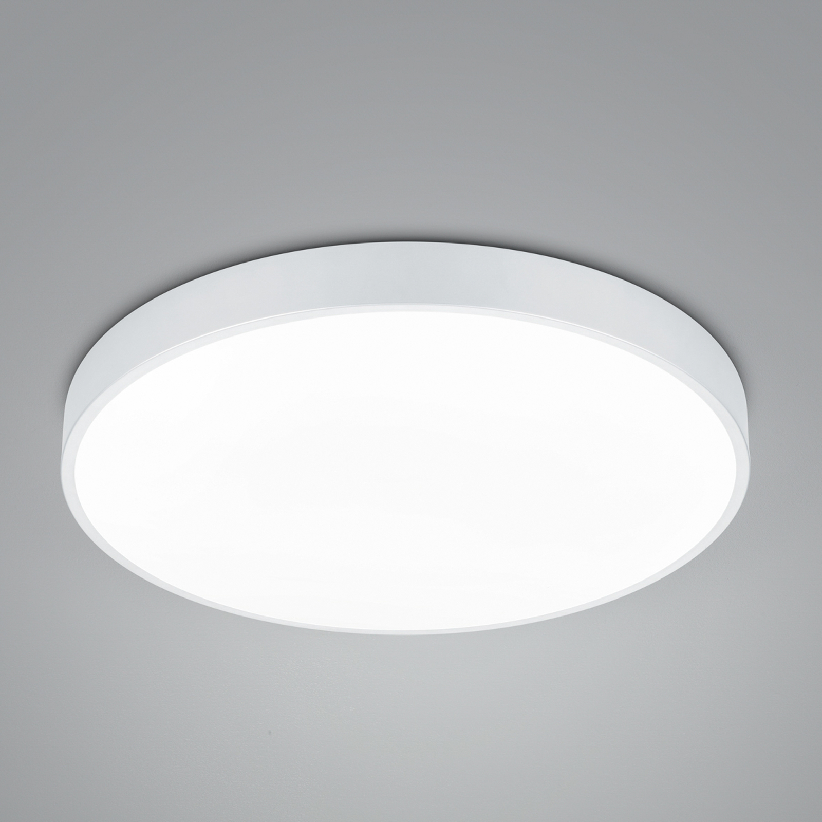 LED griestu lampa Waco, CCT, Ø 49,5 cm, balta matēta