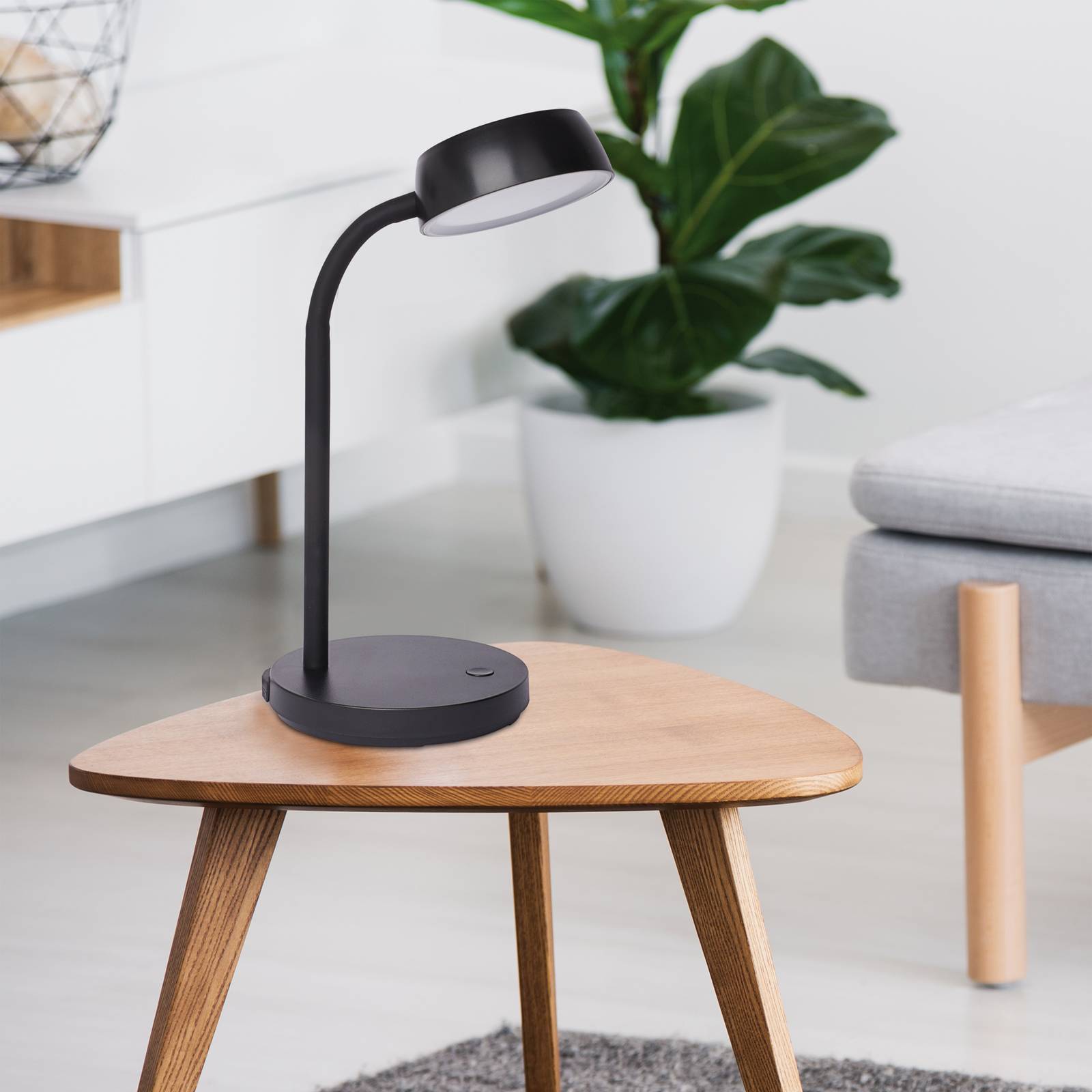 LED-Schreibtischleuchte MAULabby, schwarz, Höhe 30 cm günstig online kaufen