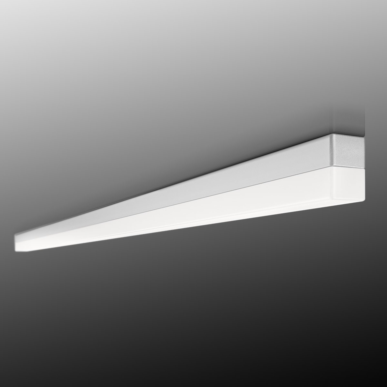 "Ribag SPINAled" praktiškas lubinis šviestuvas 60 cm