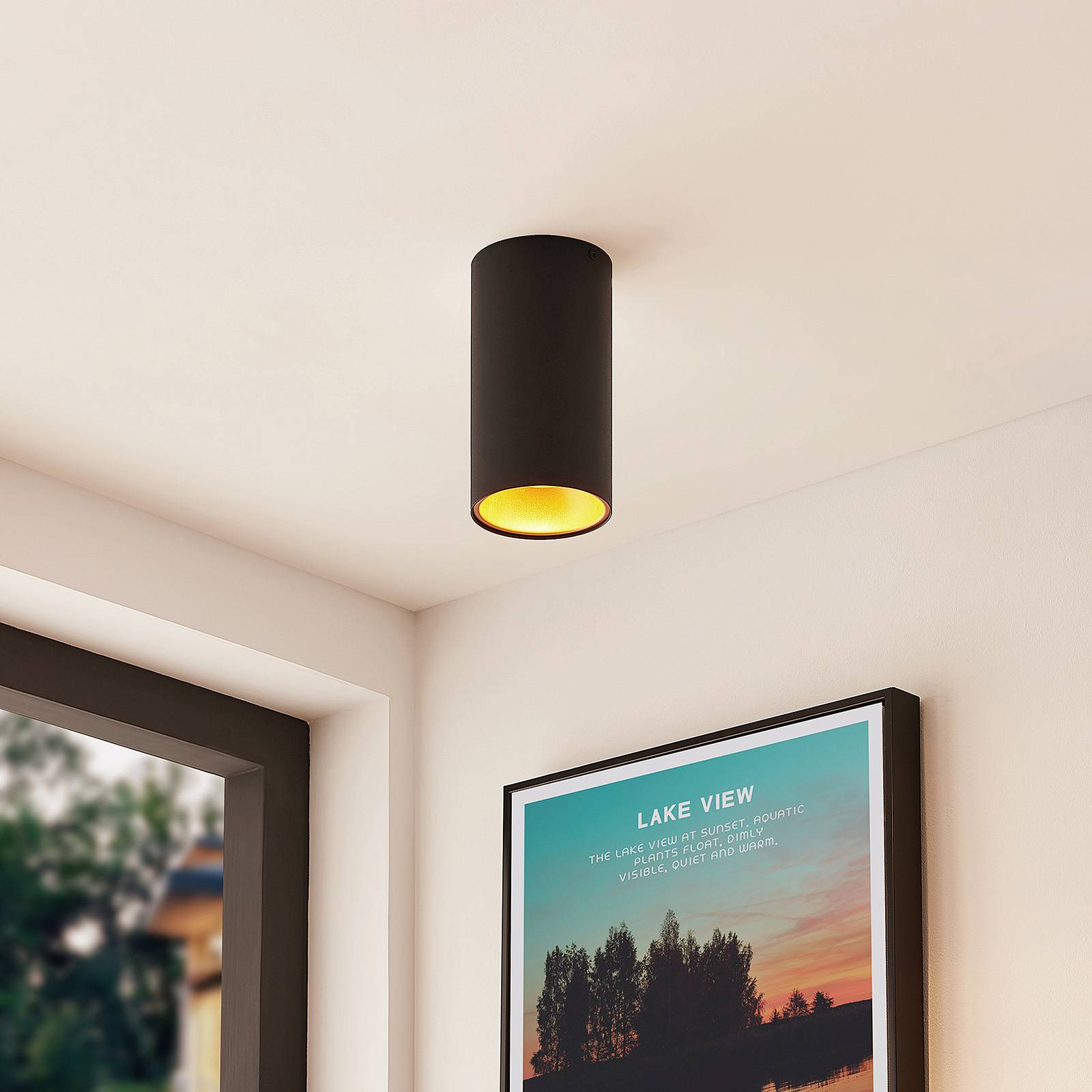 Lamp24  Taklampa