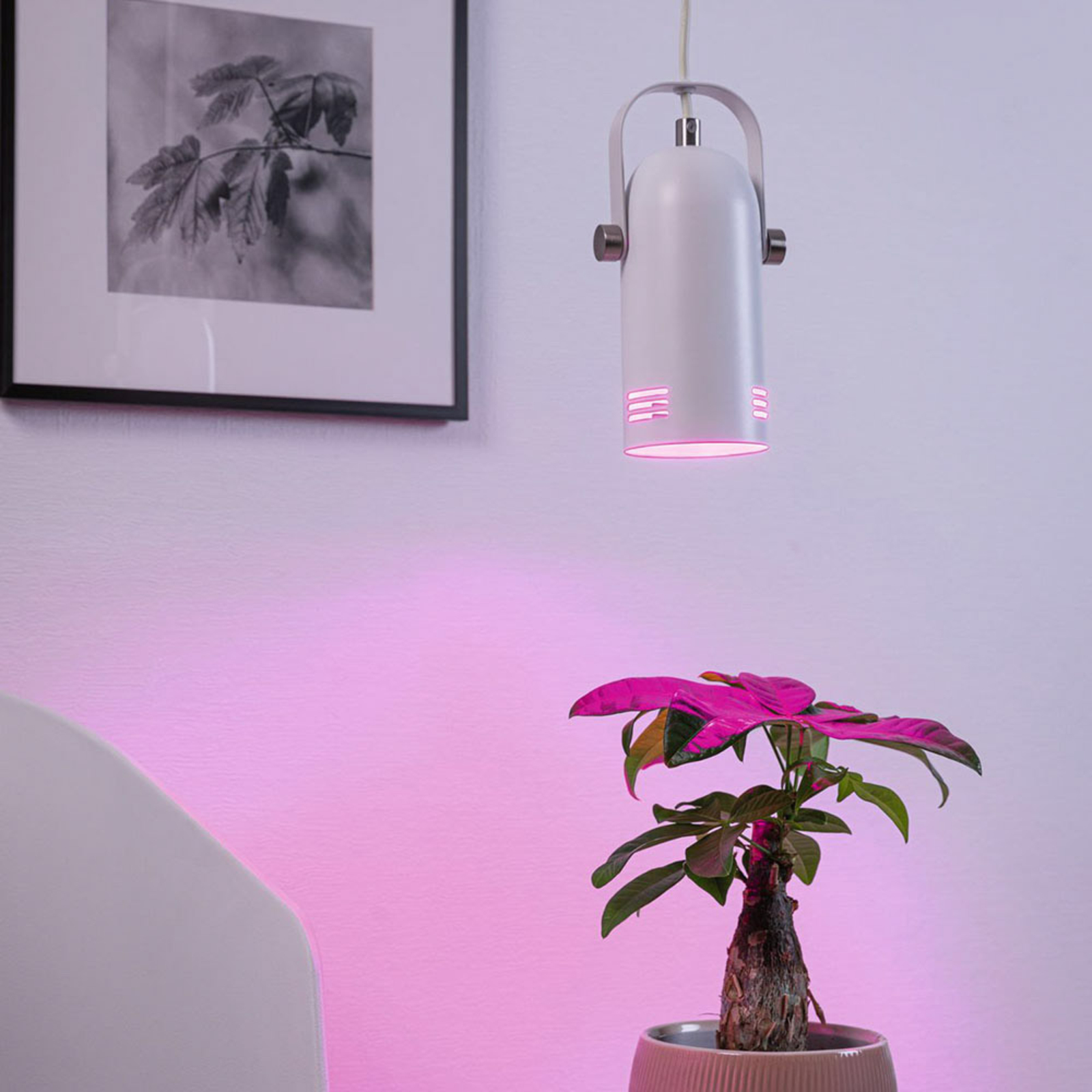Paulmann Neordic Lavea planten-hanglamp, wit