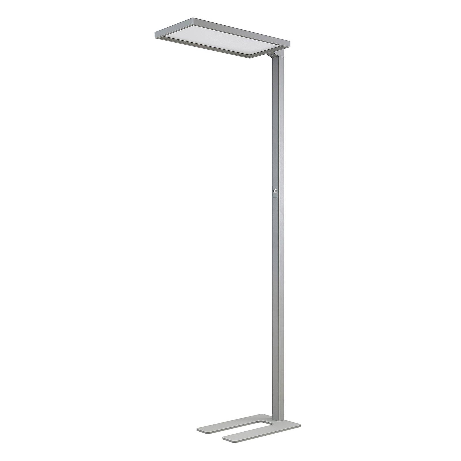 ELC Elaria LED floor lamp with motion sensor, for Workroom / Office, aluminium, plastic, 26.5 W, L: 69 cm, W: 31 cm, H: 195 cm
