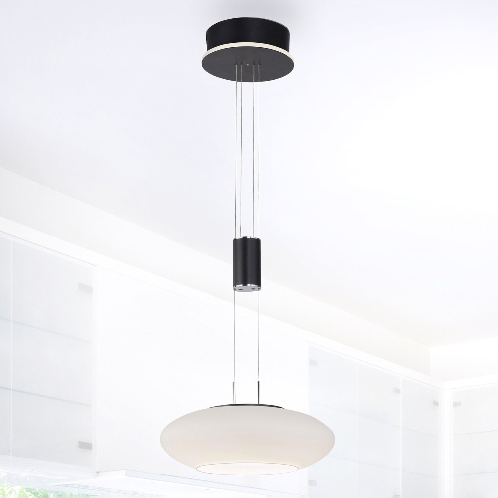 Paul Neuhaus Q-ETIENNE LED-hänglampa 1 lampa svart