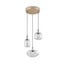 auriu / transparent