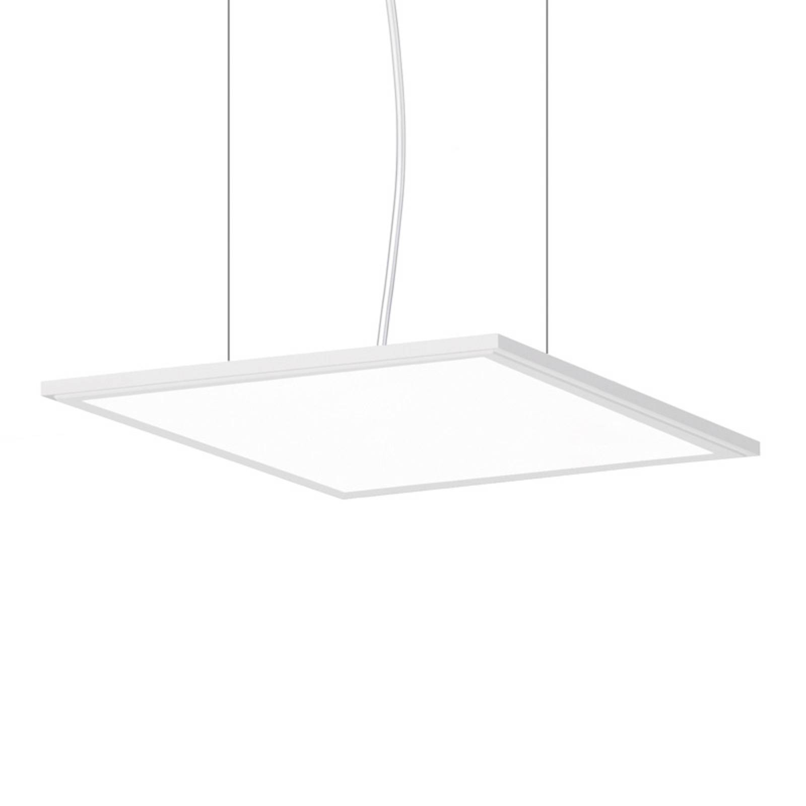 Suspension LED FL Square 300 PL OP DALI 830