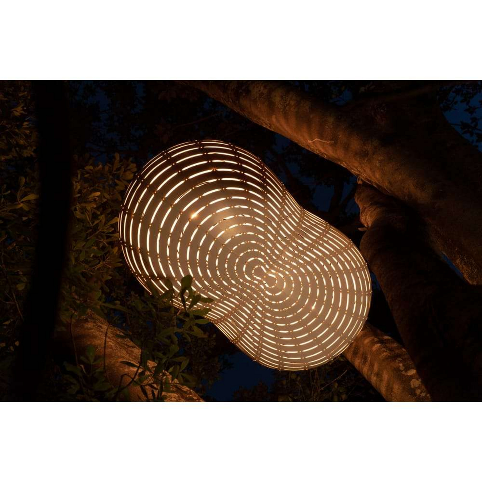 Cloud Taklampa Large Bamboo - David Trubridge