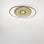 Paul Neuhaus Q-AMIRA plafonnier LED ovale, noir