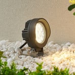 Lindby Emar foco LED con pica en gris oscuro